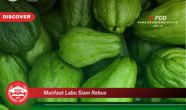 manfaat labu siam rebus