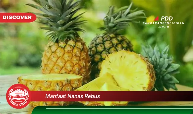 manfaat nanas rebus