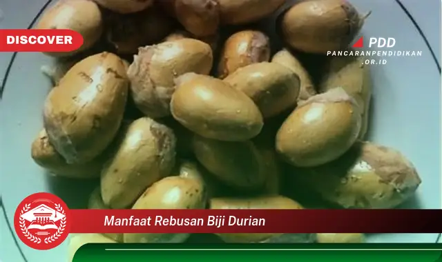 manfaat rebusan biji durian