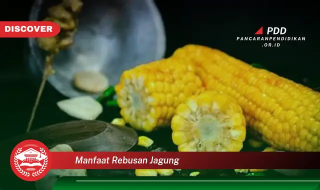 manfaat rebusan jagung