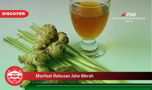 manfaat rebusan jahe merah