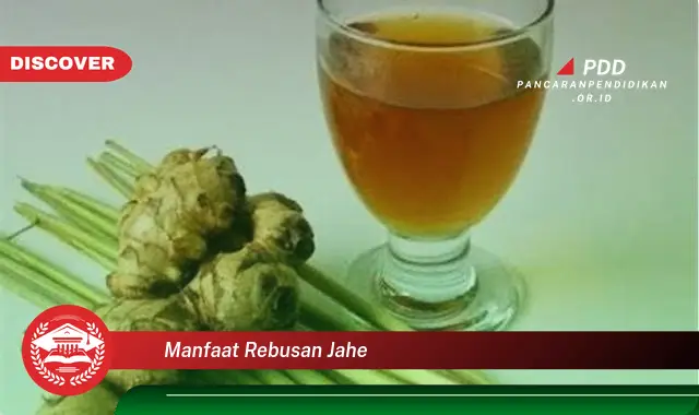 manfaat rebusan jahe