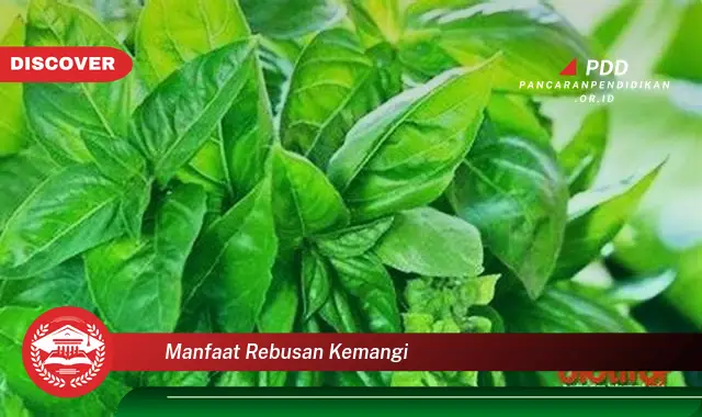 manfaat rebusan kemangi