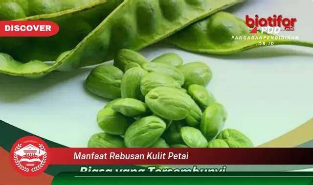 manfaat rebusan kulit petai