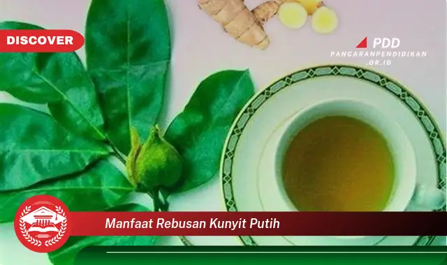 manfaat rebusan kunyit putih