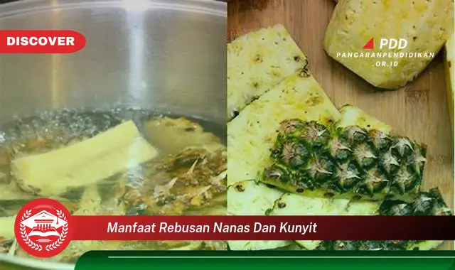 manfaat rebusan nanas dan kunyit