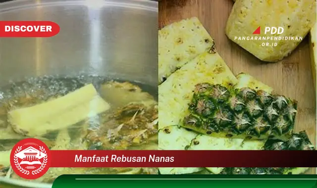 manfaat rebusan nanas