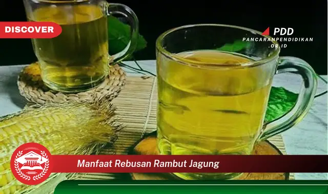 manfaat rebusan rambut jagung