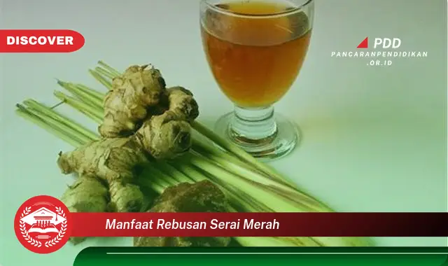 Temukan 10 Manfaat Rebusan Serai Merah yang Bikin Kamu Penasaran