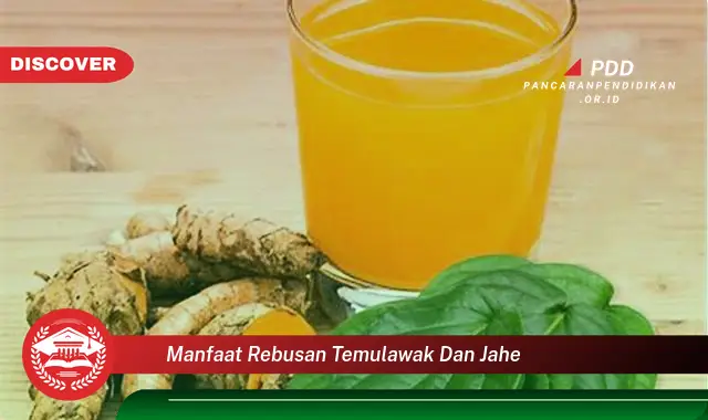 manfaat rebusan temulawak dan jahe