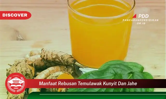 manfaat rebusan temulawak kunyit dan jahe