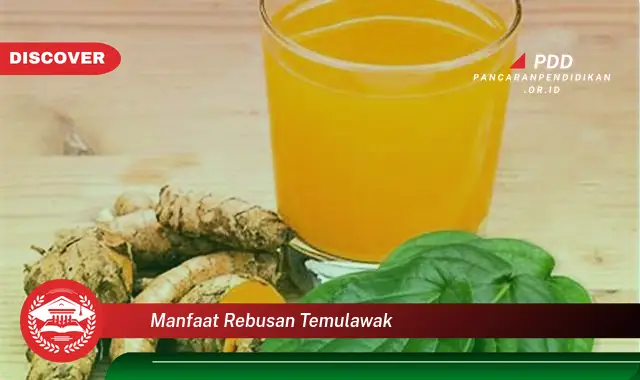 Ketahui 10 Manfaat Rebusan Temulawak Yang Bikin Kamu Penasaran