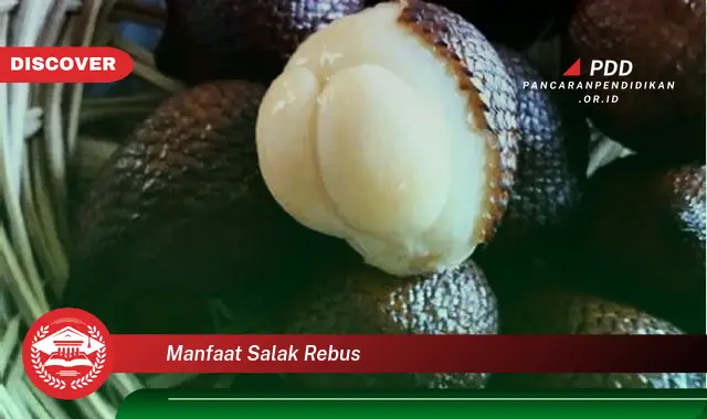 manfaat salak rebus