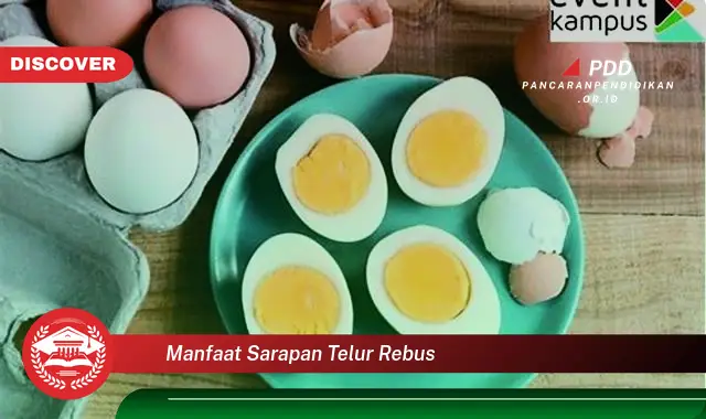 manfaat sarapan telur rebus