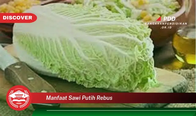 manfaat sawi putih rebus