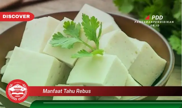 manfaat tahu rebus