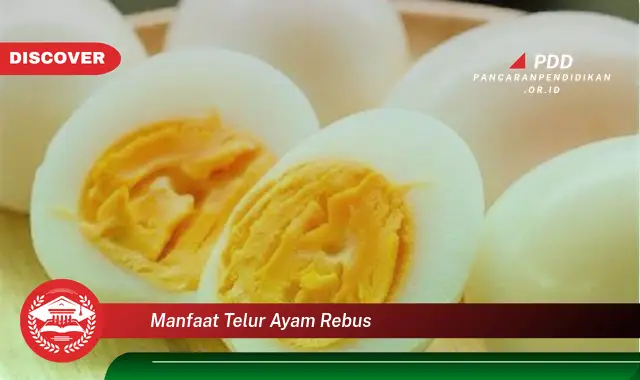 manfaat telur ayam rebus