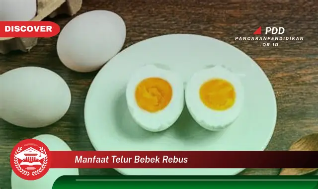 manfaat telur bebek rebus