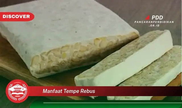 manfaat tempe rebus