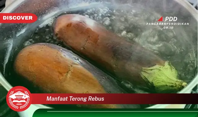 manfaat terong rebus