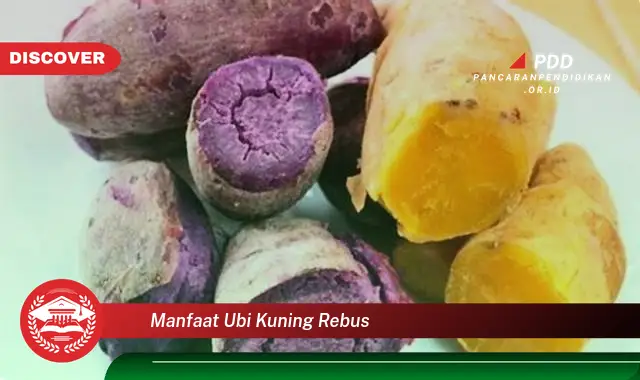 manfaat ubi kuning rebus