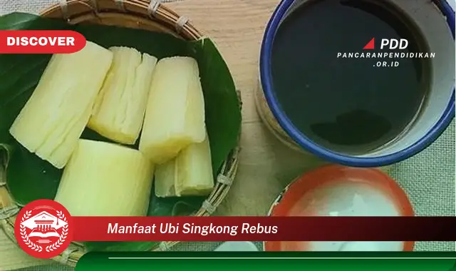 manfaat ubi singkong rebus