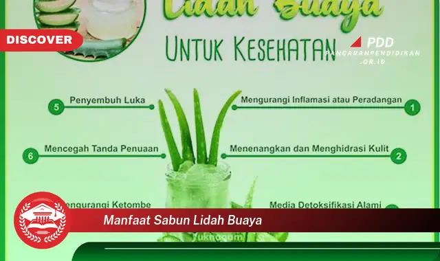 manfaat sabun lidah buaya