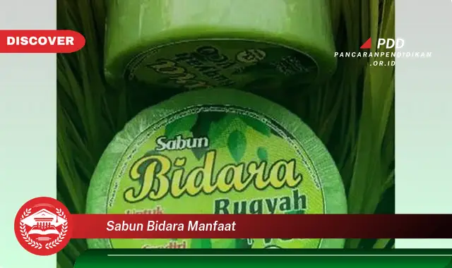 sabun bidara manfaat