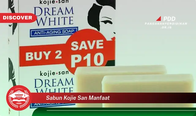sabun kojie san manfaat