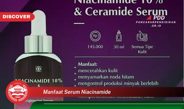 manfaat serum niacinamide