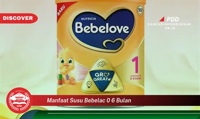 manfaat susu bebelac 0 6 bulan