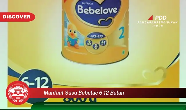 manfaat susu bebelac 6 12 bulan
