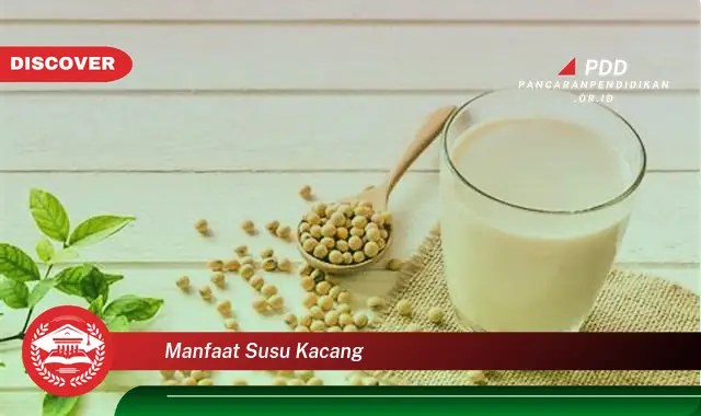 manfaat susu kacang