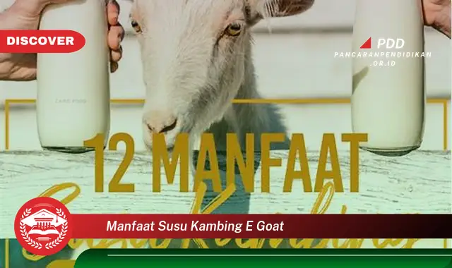 manfaat susu kambing e goat