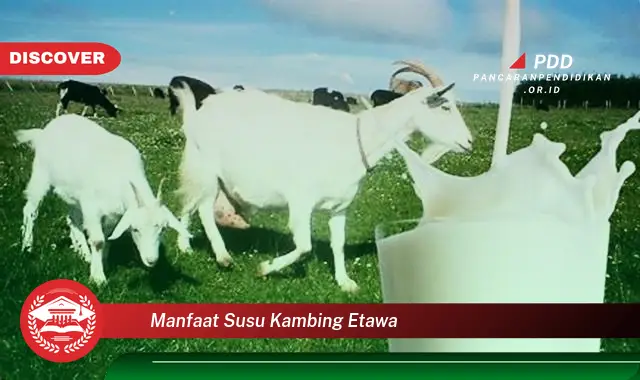 manfaat susu kambing etawa