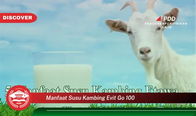 manfaat susu kambing evit go 100