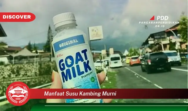 manfaat susu kambing murni