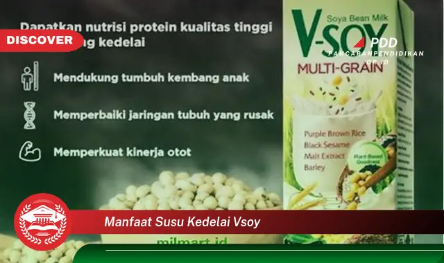 manfaat susu kedelai vsoy