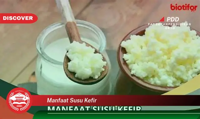 manfaat susu kefir