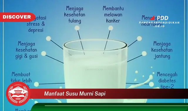 manfaat susu murni sapi