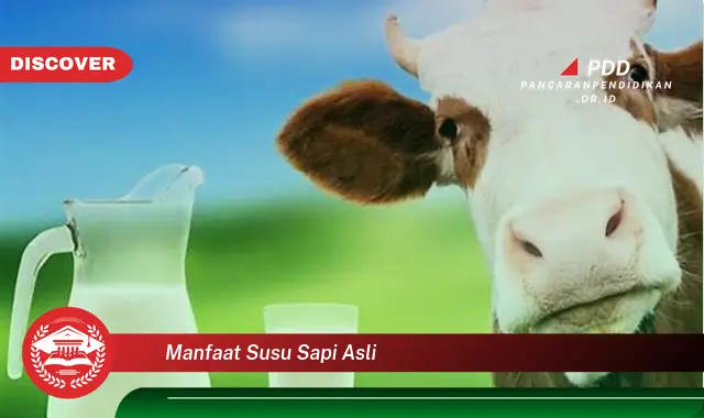 manfaat susu sapi asli
