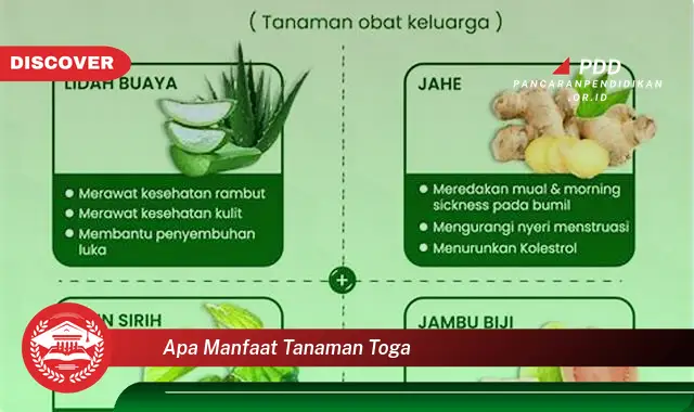 apa manfaat tanaman toga