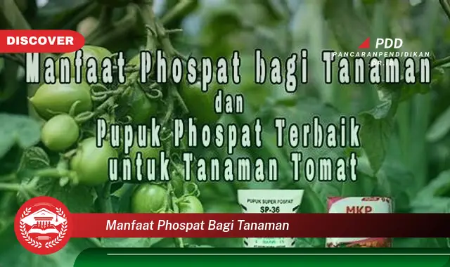 manfaat phospat bagi tanaman