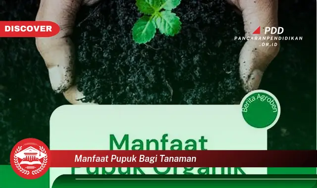 manfaat pupuk bagi tanaman