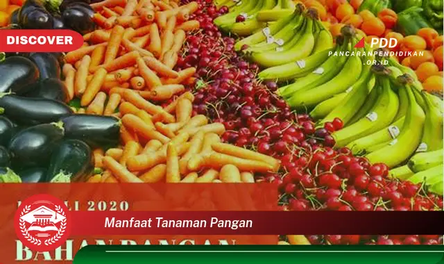 manfaat tanaman pangan