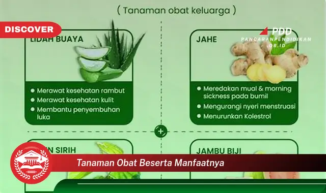 Banyak yang Belum Tahu, Inilah 30 Manfaat Tanaman Obat yang Wajib Diintip