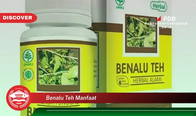 benalu teh manfaat