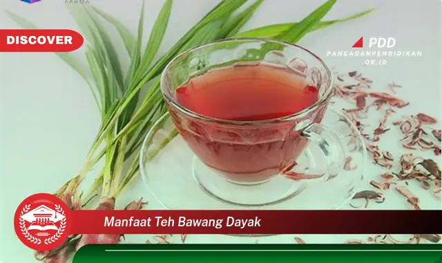 manfaat teh bawang dayak