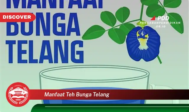 manfaat teh bunga telang