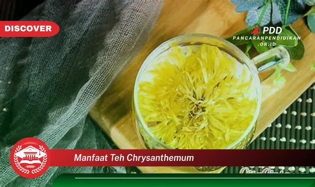 manfaat teh chrysanthemum